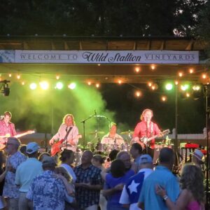 Already Gone performs the greatest hits of the Eagles at Wild Stallion Vineyards in Spring, TX.