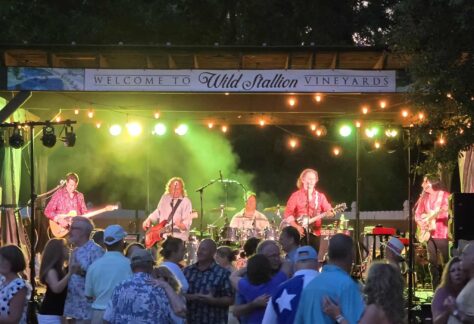 Already Gone performs the greatest hits of the Eagles at Wild Stallion Vineyards in Spring, TX.