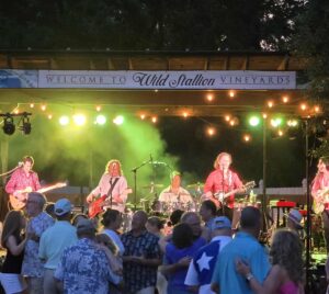 Already Gone performs the greatest hits of the Eagles at Wild Stallion Vineyards in Spring, TX.